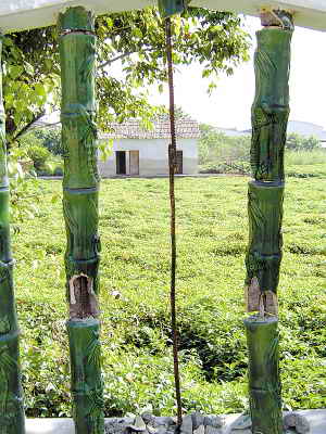 �մ�����������ɽ�vʷ�l(f��)Դ��