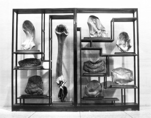 �T�׵���Ʒ���ղ�����֮���������\(y��n)���˾C�ϲ�������չ�˂��y(t��ng)�ĵ����Z��