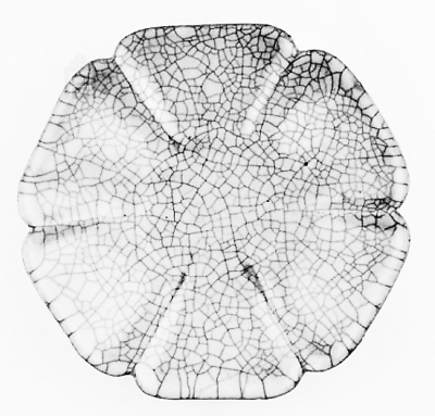 ���δ���G�����ڹʌm�ܵ��p��һ�£��ʌm����Ժ�k������������ͨ�^(gu��)ý�w�����(hu��)�����f(shu��)����