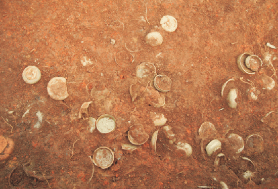 ���ɽ�Gַԭʼ�ɵ،Ӷѷe