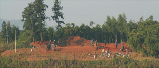 ͤ�Ә�Gַ�l(f��)��F(xi��n)��